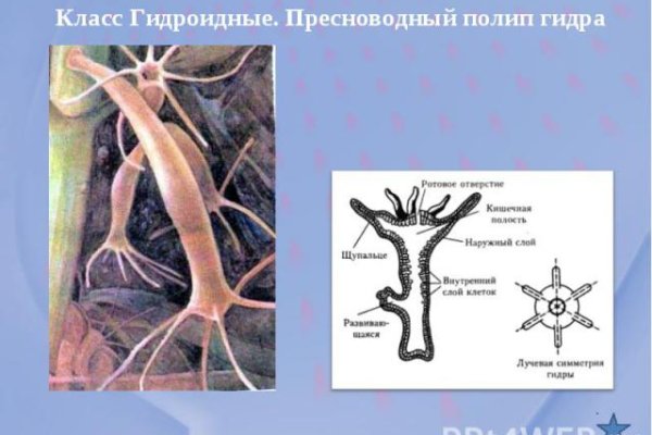 Кракен официальное зеркало