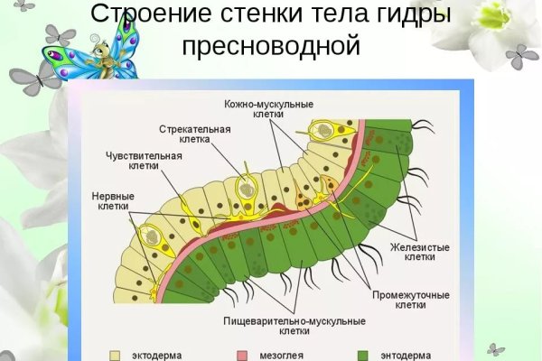 Кракен как войти через тор